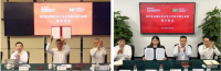 中國寶武，究竟儲備了多少鐵礦？
